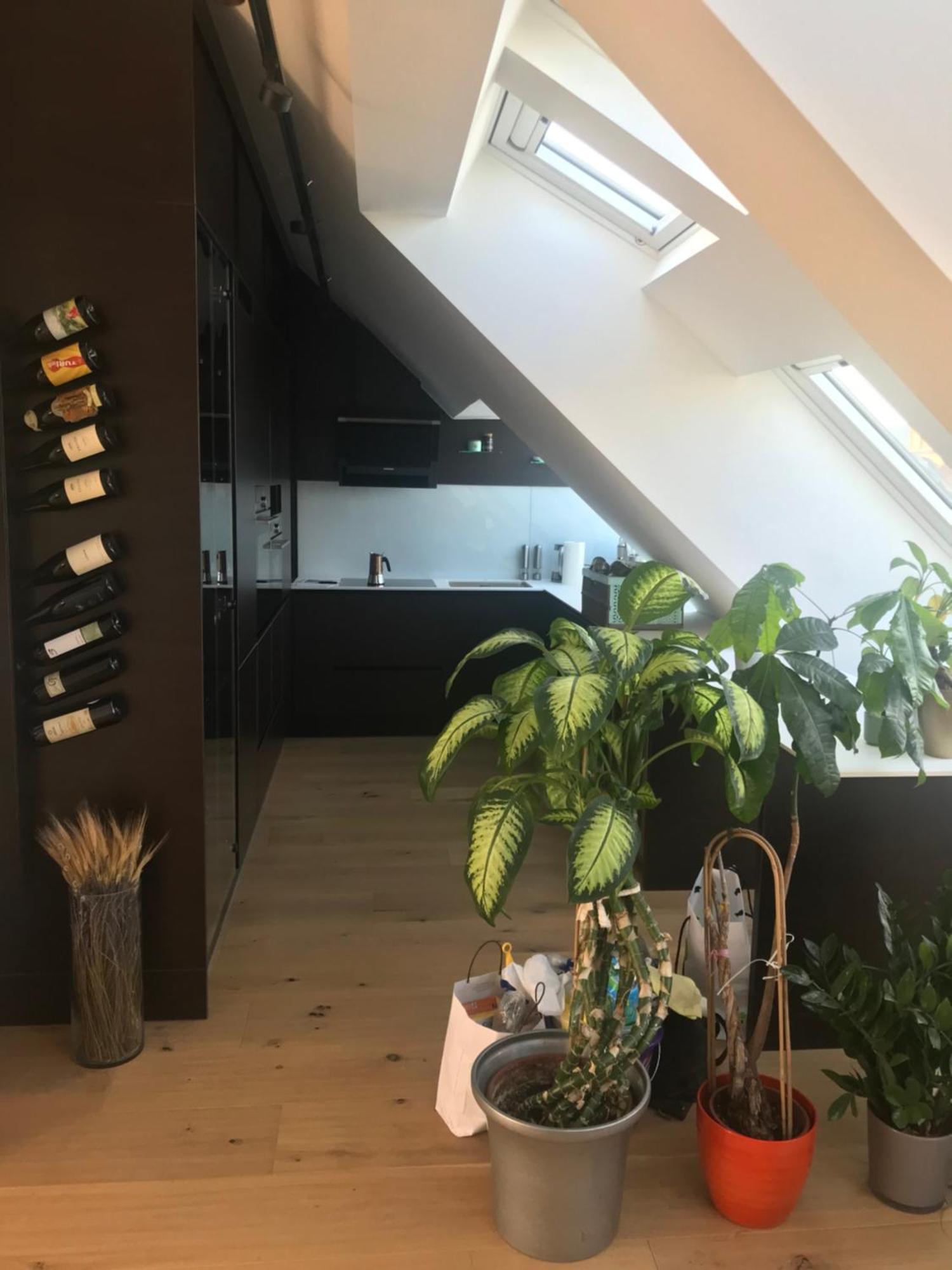 Grosszuegiges Dachterrassen-Appartment Mit Klimaanlage Und Wunderbarem Ausblick Вена Экстерьер фото