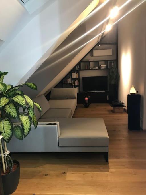 Grosszuegiges Dachterrassen-Appartment Mit Klimaanlage Und Wunderbarem Ausblick Вена Экстерьер фото